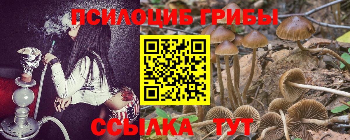 Псилоцибиновые грибы MAGIC MUSHROOMS Сегежа