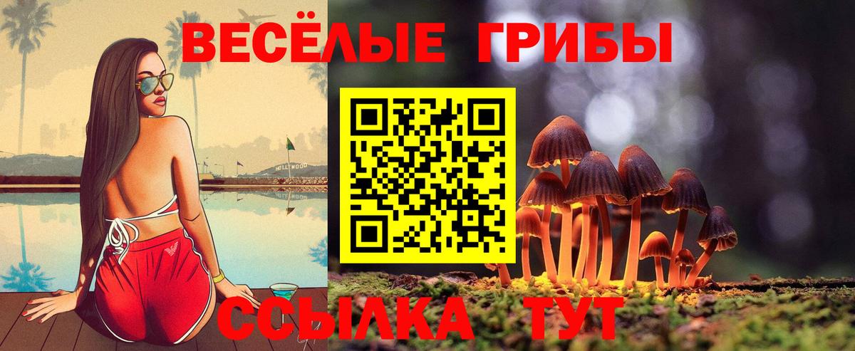 Галлюциногенные грибы MAGIC MUSHROOMS  Галлюциногенные грибы Magic Shrooms  Вход с VPN  Сегежа 